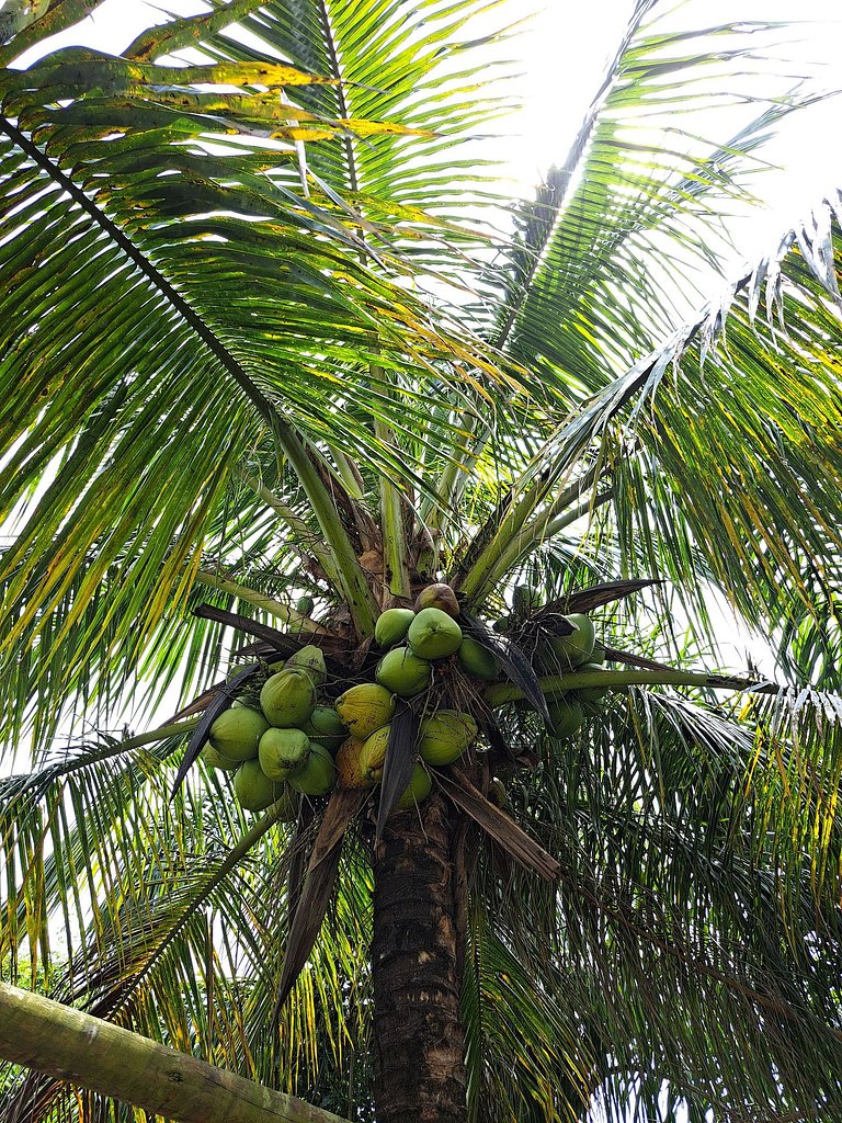 Double suite with balcony - 06